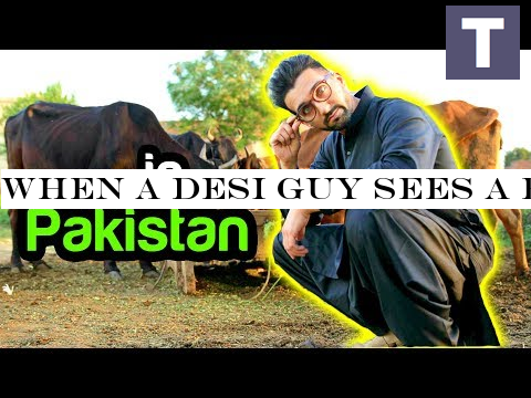 WHEN A DESI GUY Sees a BEAUTIFUL GIRL | FAZAL-UD-DIN | Sham Idrees