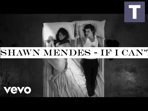 Shawn Mendes - If I Can't Have You