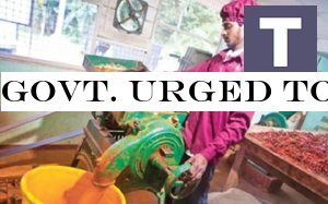 Govt. urged to support SMEs