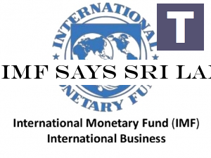 IMF says Sri Lanka's economy expected to recover in 2019