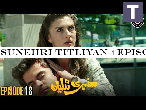 Sunehri Titliyan | Episode 18 | Turkish Drama | Hande Ercel | Dramas Central