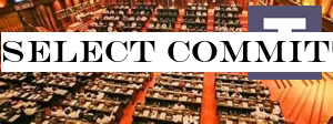 Select Committee appointed to look into Easter Sunday attacks