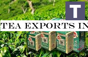 Tea exports increased by Rs. 5.5 b during last 4 months