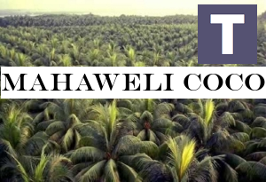 Mahaweli Coconut Plantations begins trading at CSE
