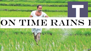 On time Rains brightens outlook for re-consolidation of paddy cultivation