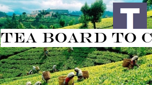 Tea Board to commence replanting