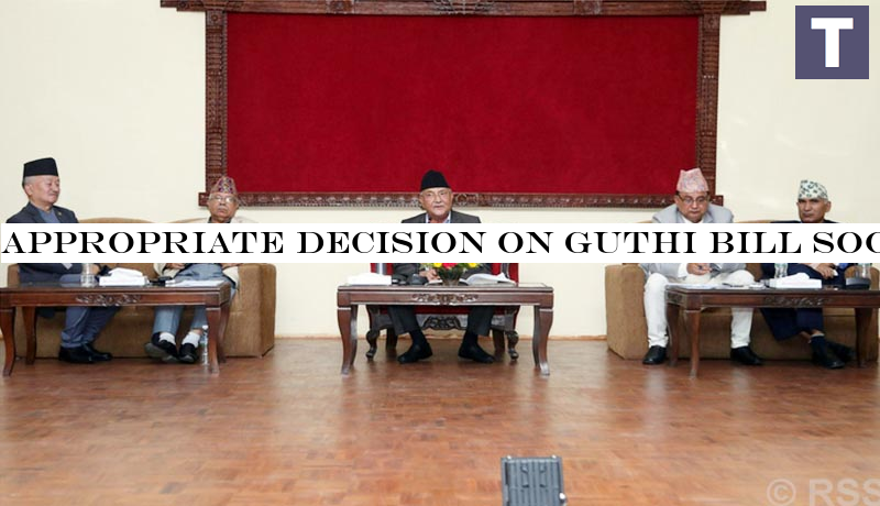 Appropriate decision on Guthi Bill soon