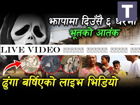 Live Video झापामा दिउँसै भूतको आतंक, मिडियाकै आगाडी यसरी ढुंगा बर्षियो || Jhapa Bhoot Kanda
