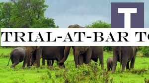 Trial-at-Bar to hear elephant trafficking case