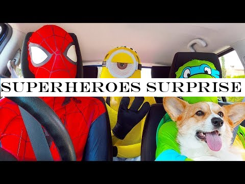 Superheroes Surprise Happy Dog With Dancing Car Ride