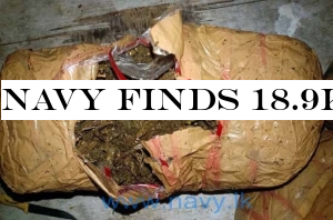Navy finds 18.9kg of Kerala cannabis