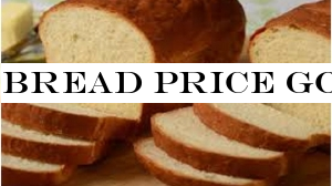 Bread price goes back down