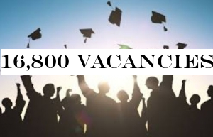16,800 vacancies- Cabinet approves to recruitment and trains unemployed graduates as trainees