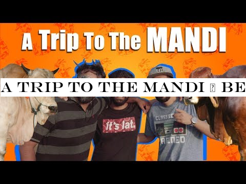 A Trip To The Mandi | Bekaar Films | Comedy Skit