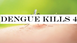 Dengue kills 47, ails 234,078 this year