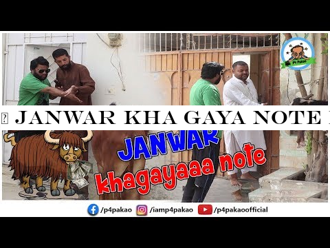 | Janwar Kha Gaya Note Prank | By Nadir Ali In | P4 Pakao | 2019