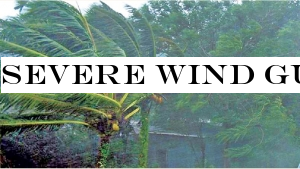 Severe wind gusts, heavy rain alert