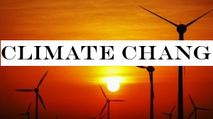 Climate change: CO2 emissions rising for first time in four years