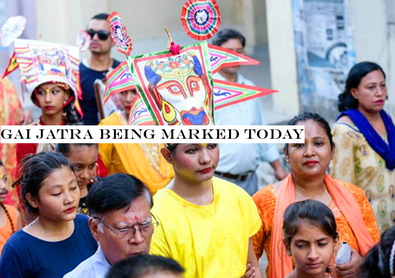 Gai Jatra being marked today
