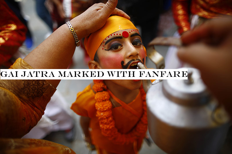 Gai Jatra marked with fanfare