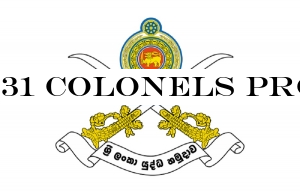 31 Colonels Promoted to Brigadier Rank