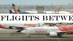 Flights between India and Palali to start soon: PM