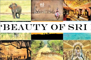 ‘Beauty of Sri Lanka& in Los Angeles