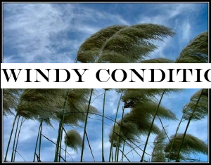 Windy condition is expected to enhance over the island