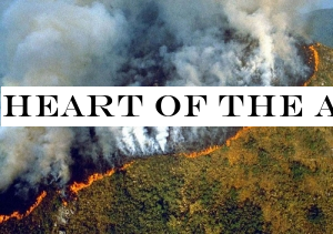 Heart of the Amazon fires