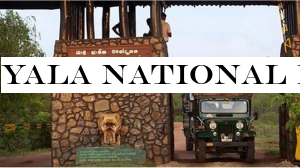 Yala National Park partially closed