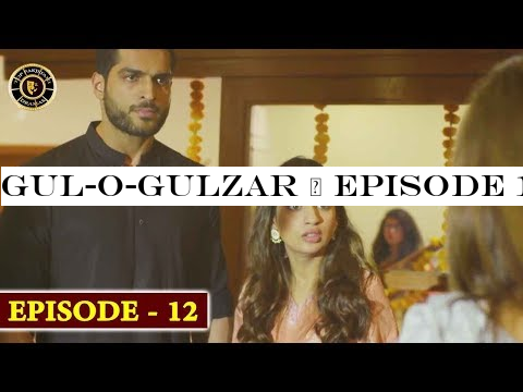 Gul-o-Gulzar | Episode 12 | Top Pakistani Drama