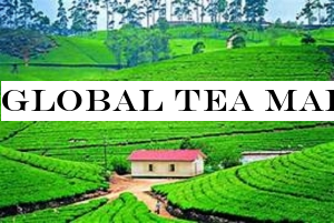 Global tea marketing campaign to kick off in this month