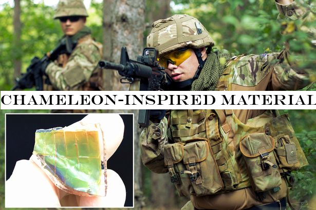 Chameleon-inspired material that changes colour could improve military camouflage
