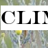 Climate change 'could mean birds will die out'