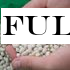Full of beans: Experts invent new crop that can grow in the UK