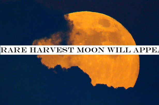 Rare Harvest Moon will appear on Friday 13th - here's how to see it tonight