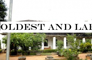 Oldest and largest archaeological museum opens after preservation