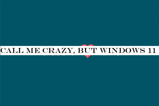 Call me crazy, but Windows 11 could run on Linux