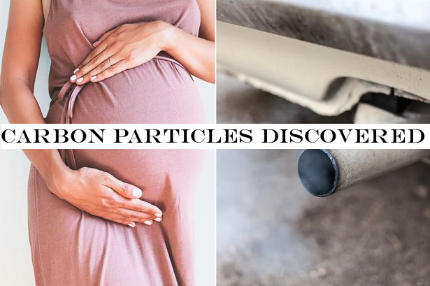 Carbon particles discovered in pregnant women's placentas - and they could reach the baby