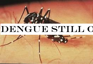 Dengue still on the rise in 7 districts