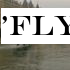 'Flying taxi' stopped by police during tests in Paris
