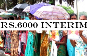 Rs.6000 interim monthly allowance for missing persons& families from November
