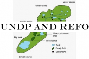 UNDP and Reforest Sri Lanka pledge to revive the cascades