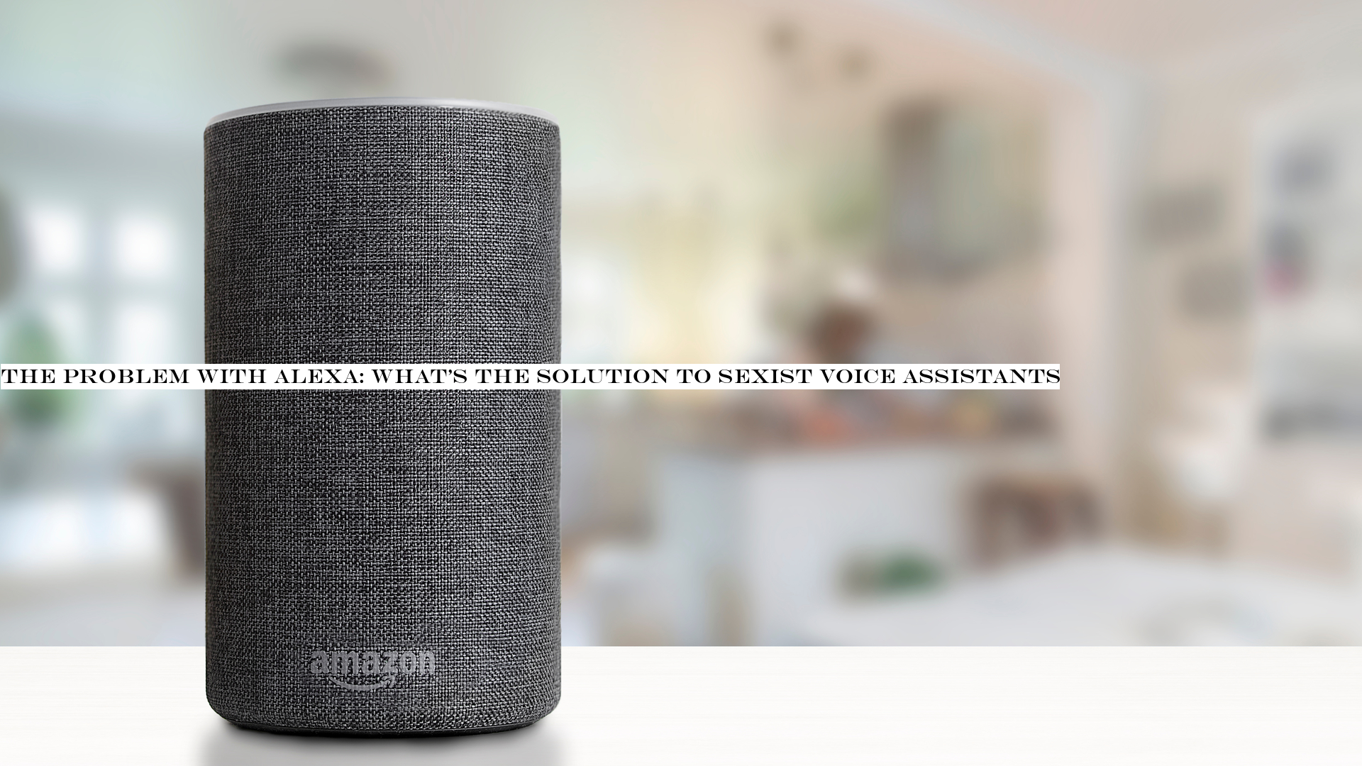 voice assistant