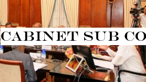 Cabinet Sub committee to look into salary anomalies issue