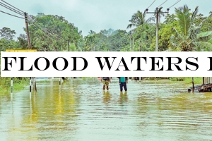 Flood waters recede, but health officials warn of threat of disease