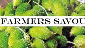 Farmers savour sweet success with thumba karawila
