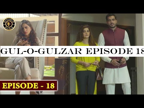 Gul-o-Gulzar Episode 18 | Top Pakistani Drama