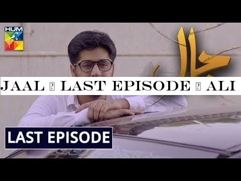 Jaal | Last Episode | Ali Kazmi, Sumbul Iqbal -Imran Ashraf| HUM Dramas
