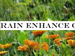 Rain enhance over most parts of the island